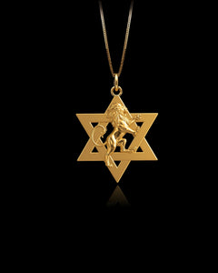 Gold Star of David Lion Pendant