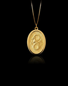 Capricorn Pendant
