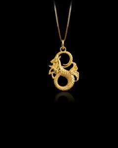 MINI Capricorn Pendant (25 mm)
