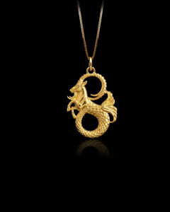 MINI Capricorn Pendant (25 mm)
