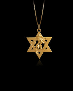 MINI Star of David Lion Pendant (23 mm)